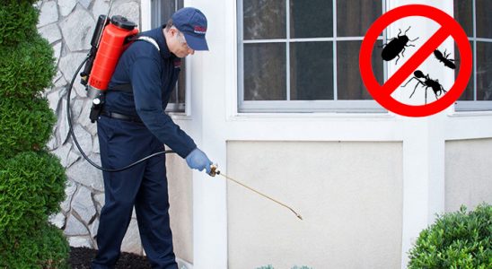 Beyağaç Karınca İlaçlama böcek ilaçlama ve haşere kontrolü — ilaclama-tr.com